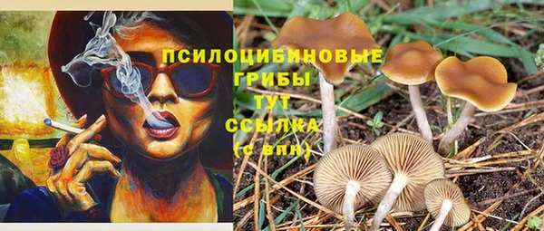 амф Богданович