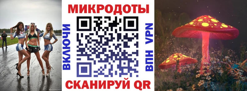 гидра ТОР  купить   Демидов  Галлюциногенные грибы Psilocybe 